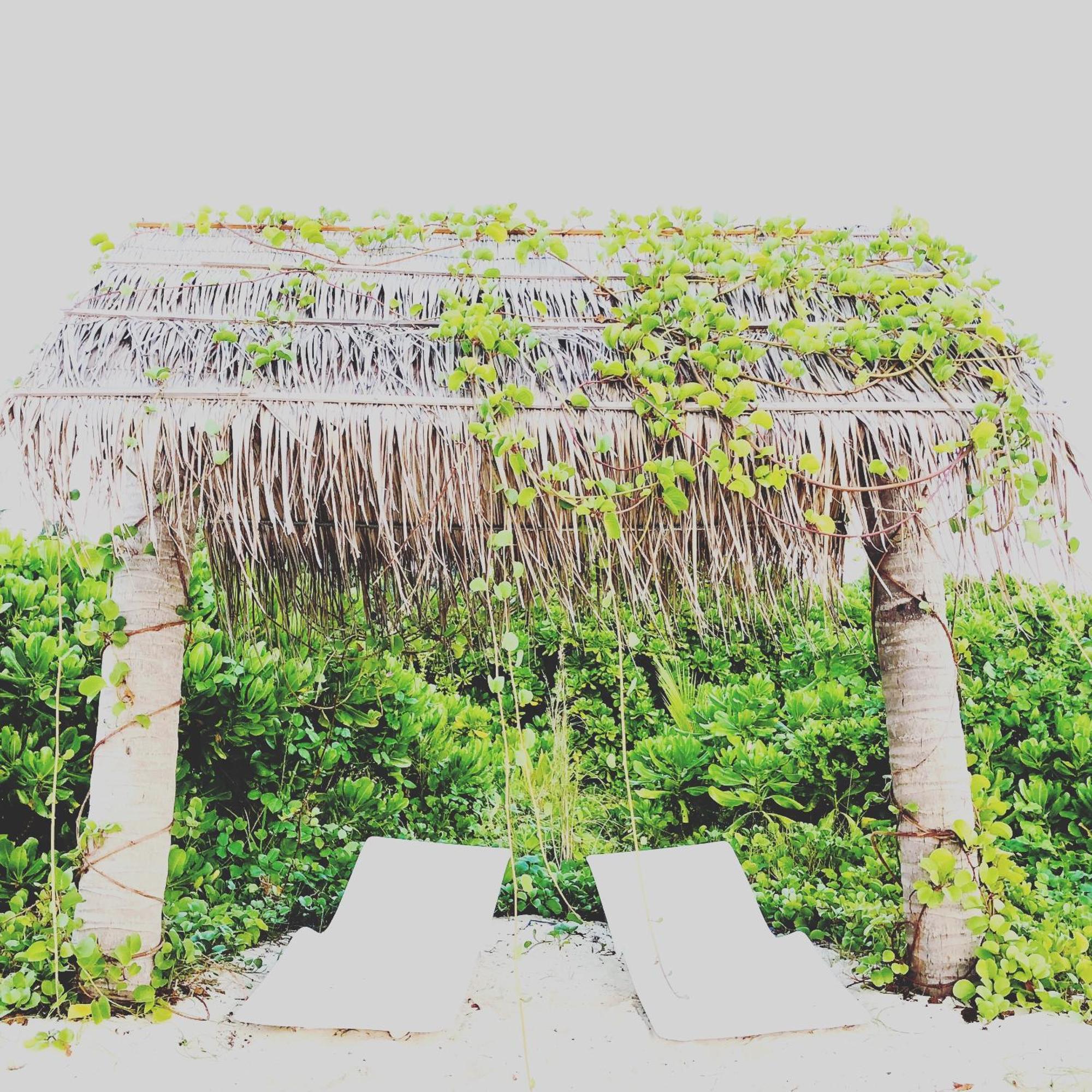 Infinity Dhiffushi Hotel ภายนอก รูปภาพ